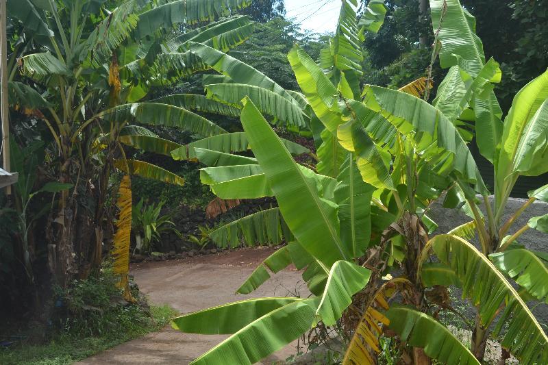 Cabanas Manuto Hanga Roa Bagian luar foto